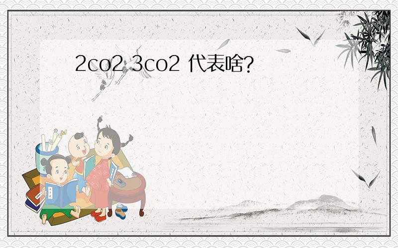 2co2 3co2 代表啥?