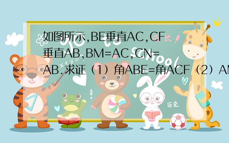 如图所示,BE垂直AC,CF垂直AB,BM=AC,CN=AB.求证（1）角ABE=角ACF（2）AM=AN.