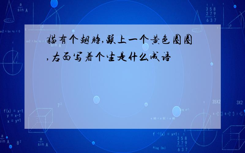 猫有个翅膀,头上一个黄色圈圈,右面写着个生是什么成语