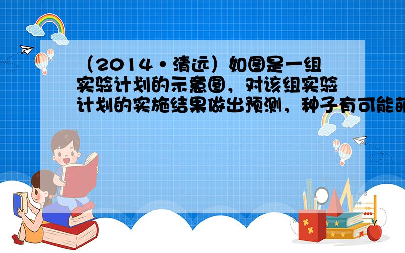 （2014•清远）如图是一组实验计划的示意图，对该组实验计划的实施结果做出预测，种子有可能萌发的是（　　）