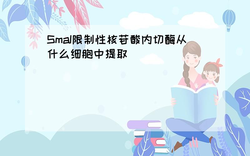 SmaI限制性核苷酸内切酶从什么细胞中提取