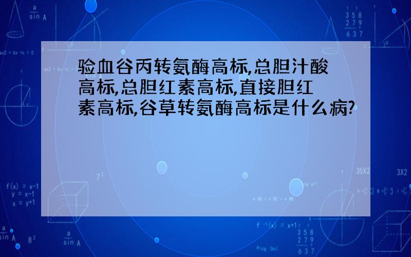 验血谷丙转氨酶高标,总胆汁酸高标,总胆红素高标,直接胆红素高标,谷草转氨酶高标是什么病?