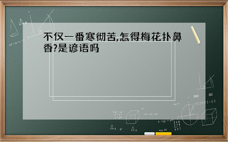 不仅一番寒彻苦,怎得梅花扑鼻香?是谚语吗