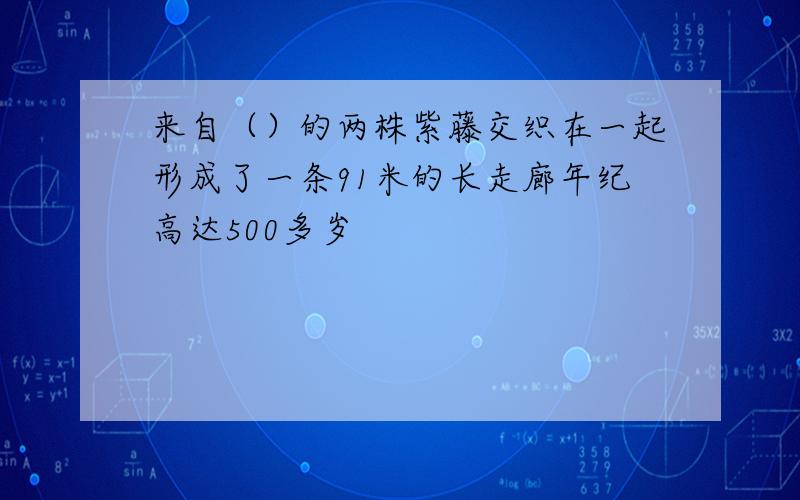 来自（）的两株紫藤交织在一起形成了一条91米的长走廊年纪高达500多岁