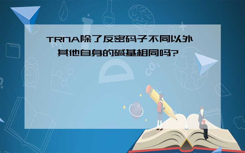 TRNA除了反密码子不同以外,其他自身的碱基相同吗?