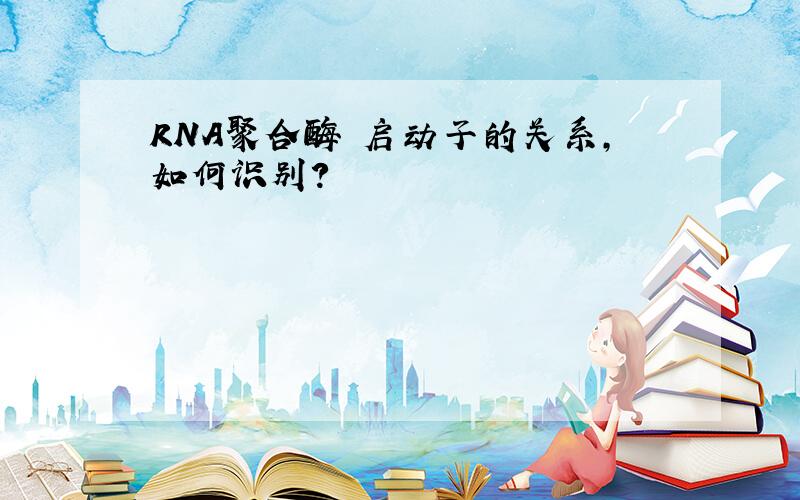 RNA聚合酶 启动子的关系,如何识别?