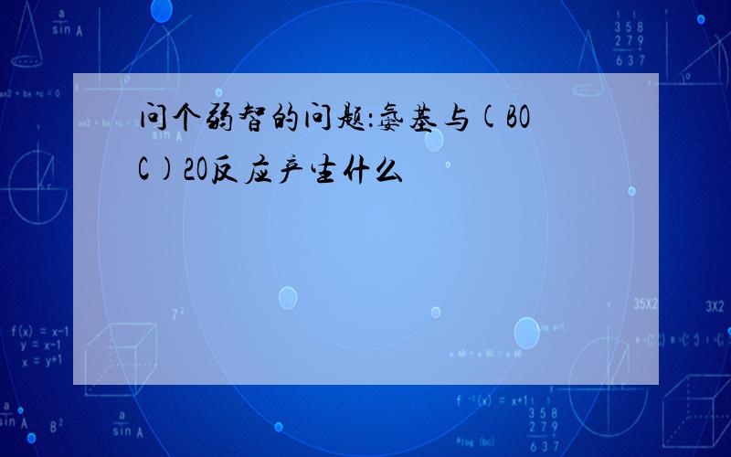 问个弱智的问题：氨基与(BOC)2O反应产生什么