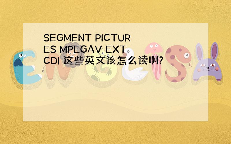 SEGMENT PICTURES MPEGAV EXT CDI 这些英文该怎么读啊?