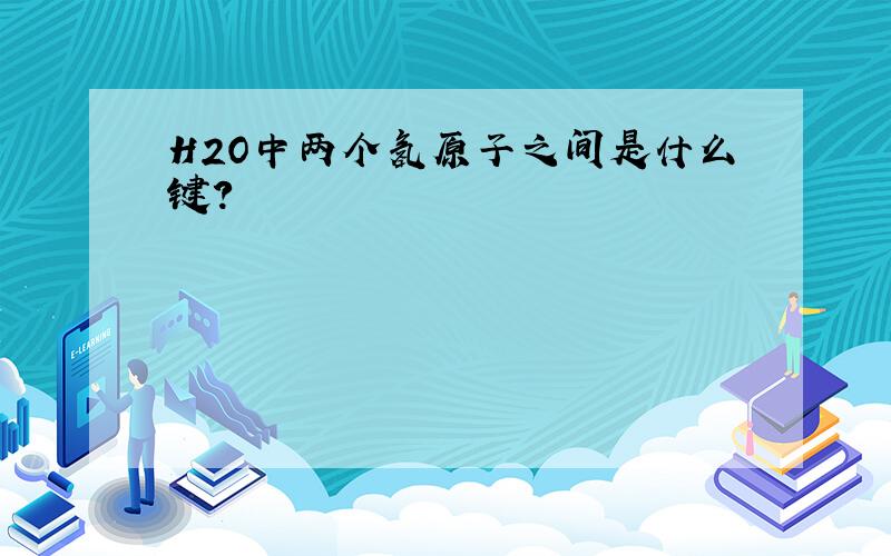 H2O中两个氢原子之间是什么键?