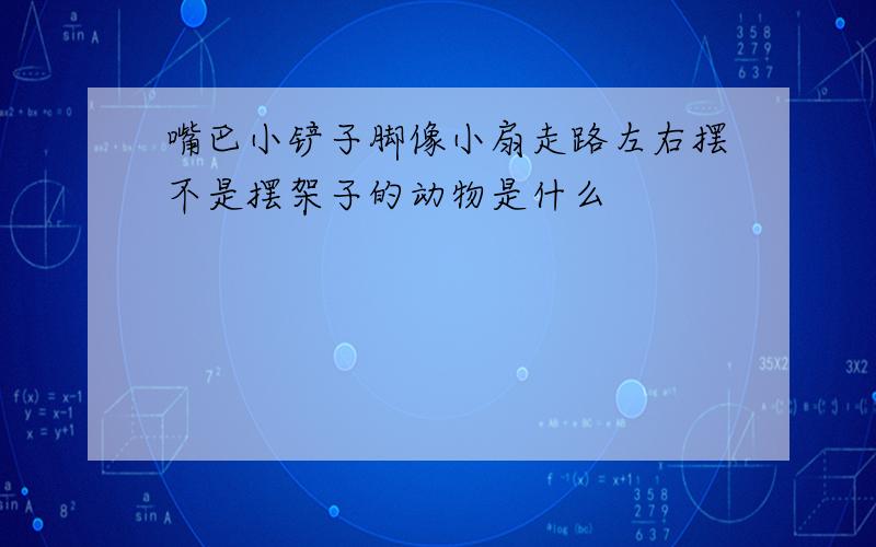 嘴巴小铲子脚像小扇走路左右摆不是摆架子的动物是什么