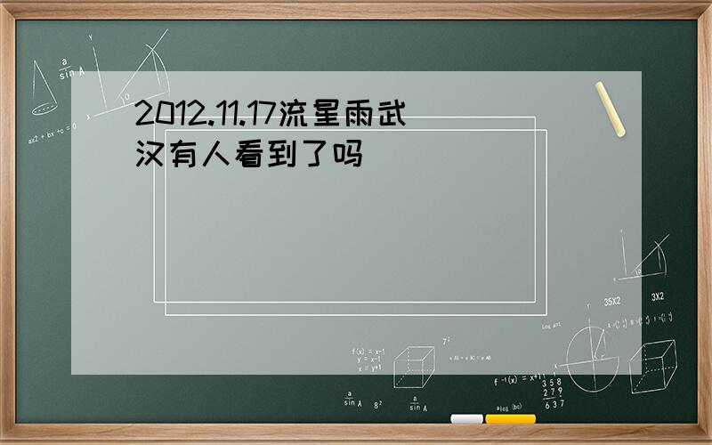 2012.11.17流星雨武汉有人看到了吗