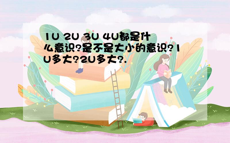 1U 2U 3U 4U都是什么意识?是不是大小的意识?1U多大?2U多大?.