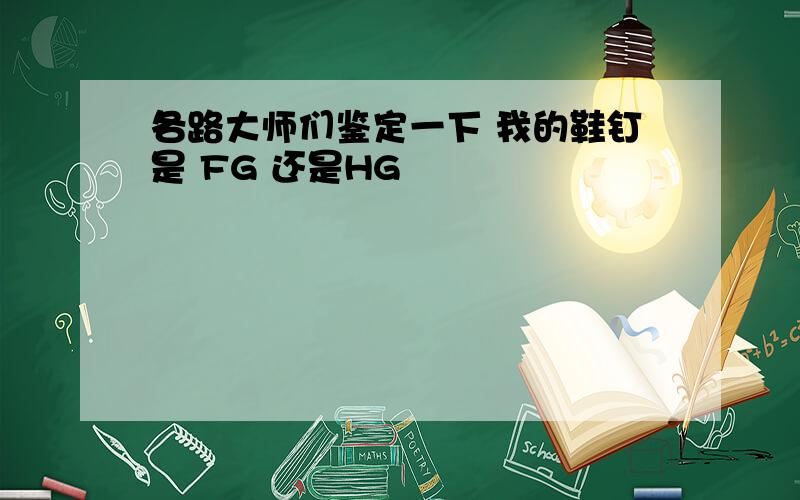 各路大师们鉴定一下 我的鞋钉是 FG 还是HG