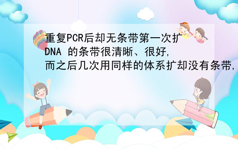 重复PCR后却无条带第一次扩DNA 的条带很清晰、很好,而之后几次用同样的体系扩却没有条带,很是不理解