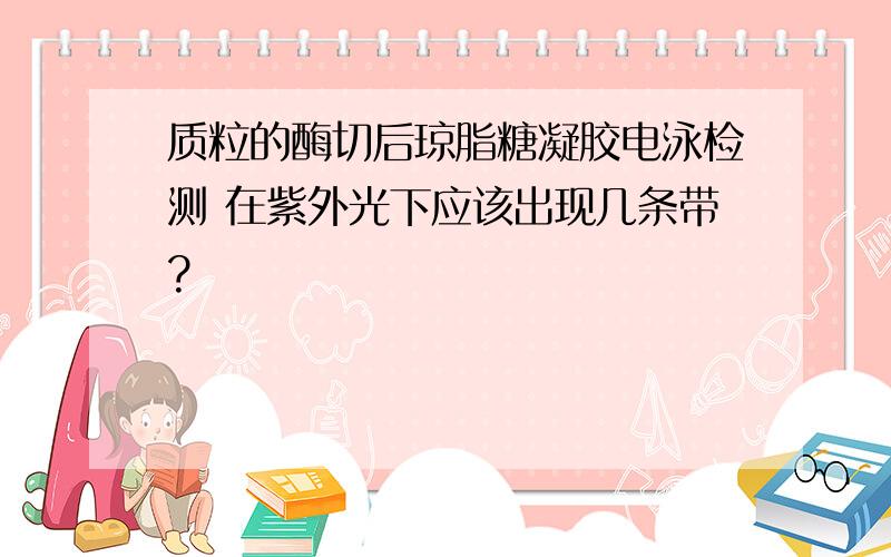 质粒的酶切后琼脂糖凝胶电泳检测 在紫外光下应该出现几条带?