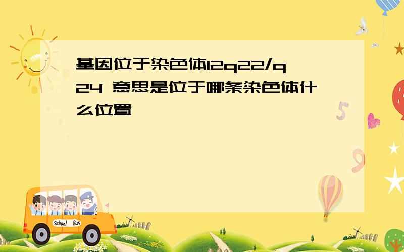 基因位于染色体12q22/q24 意思是位于哪条染色体什么位置