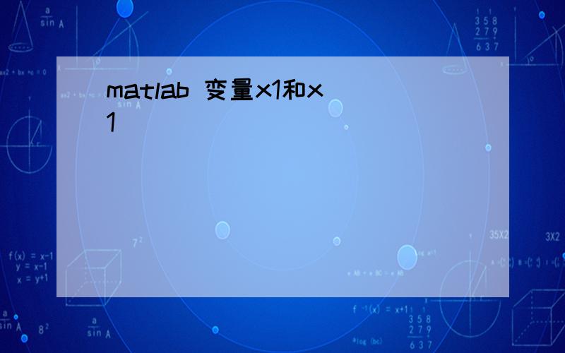 matlab 变量x1和x(1)