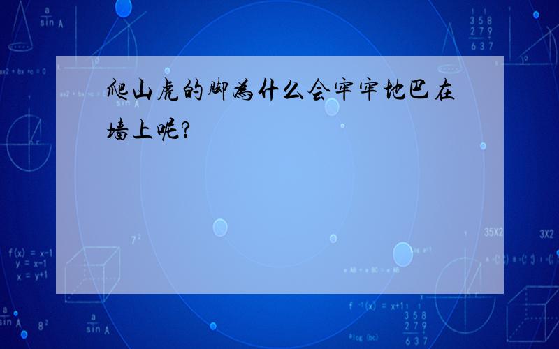 爬山虎的脚为什么会牢牢地巴在墙上呢?