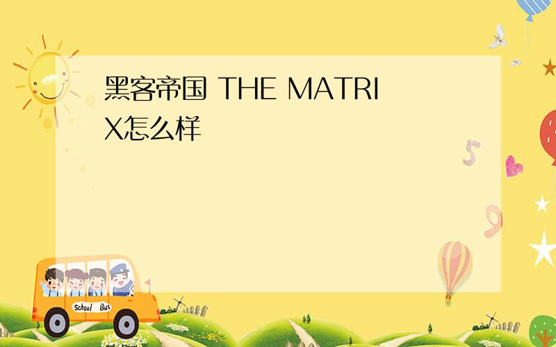 黑客帝国 THE MATRIX怎么样