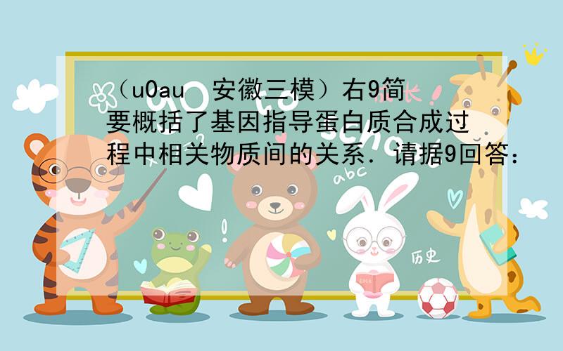 （u0au•安徽三模）右9简要概括了基因指导蛋白质合成过程中相关物质间的关系．请据9回答：