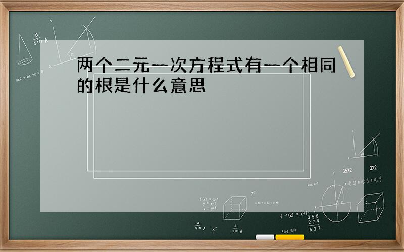 两个二元一次方程式有一个相同的根是什么意思