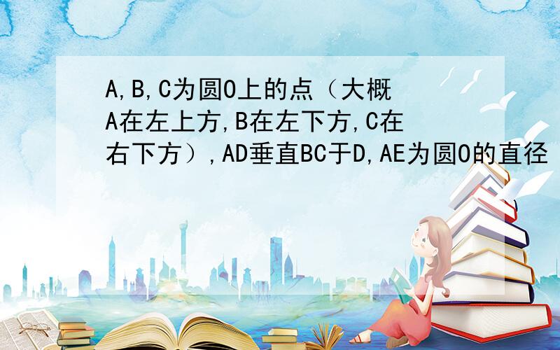 A,B,C为圆O上的点（大概A在左上方,B在左下方,C在右下方）,AD垂直BC于D,AE为圆O的直径（E也在右下方,在C