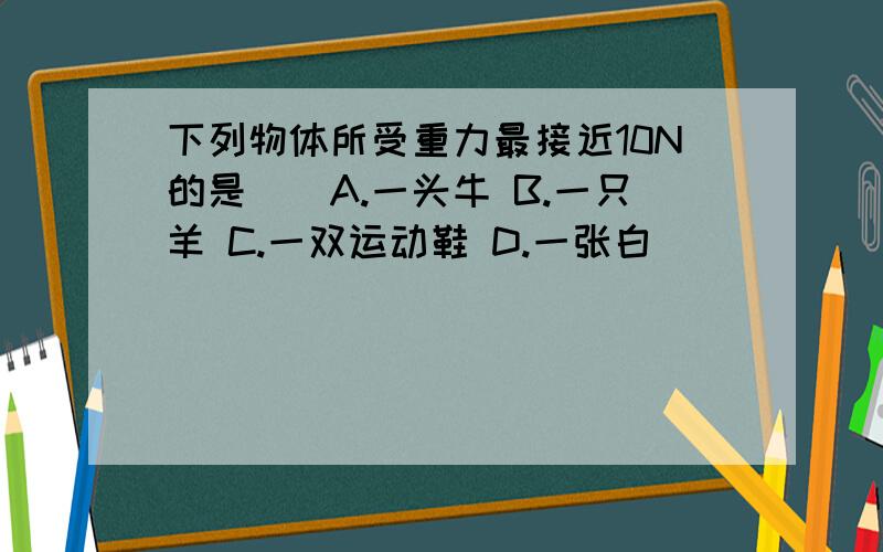 下列物体所受重力最接近10N的是（）A.一头牛 B.一只羊 C.一双运动鞋 D.一张白