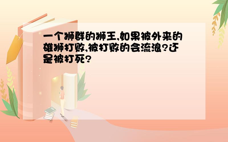 一个狮群的狮王,如果被外来的雄狮打败,被打败的会流浪?还是被打死?