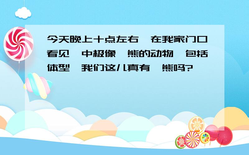 今天晚上十点左右,在我家门口看见一中极像浣熊的动物,包括体型,我们这儿真有浣熊吗?