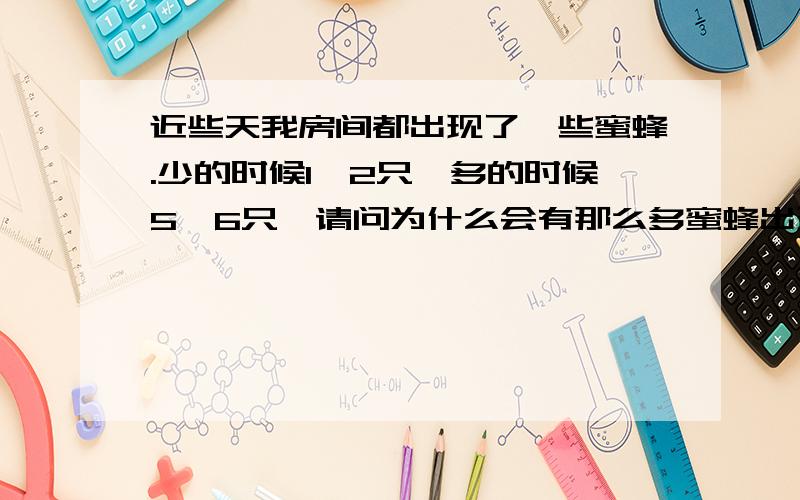 近些天我房间都出现了一些蜜蜂.少的时候1、2只,多的时候5、6只,请问为什么会有那么多蜜蜂出现?