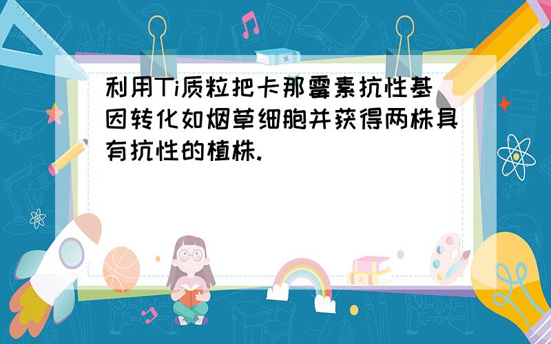 利用Ti质粒把卡那霉素抗性基因转化如烟草细胞并获得两株具有抗性的植株.