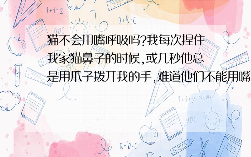 猫不会用嘴呼吸吗?我每次捏住我家猫鼻子的时候,或几秒他总是用爪子拨开我的手,难道他们不能用嘴呼吸吗?