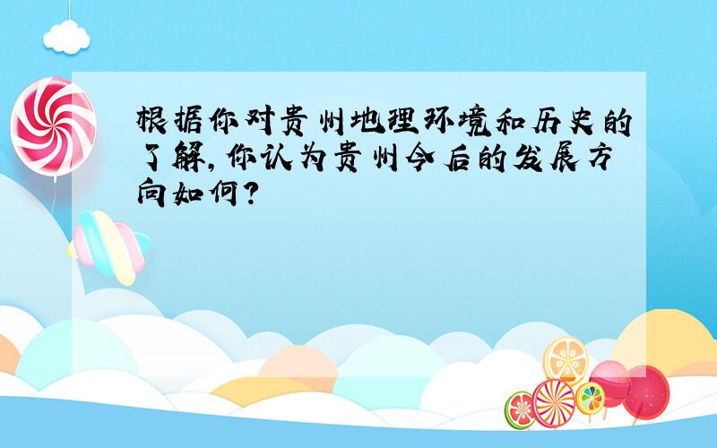 根据你对贵州地理环境和历史的了解,你认为贵州今后的发展方向如何?