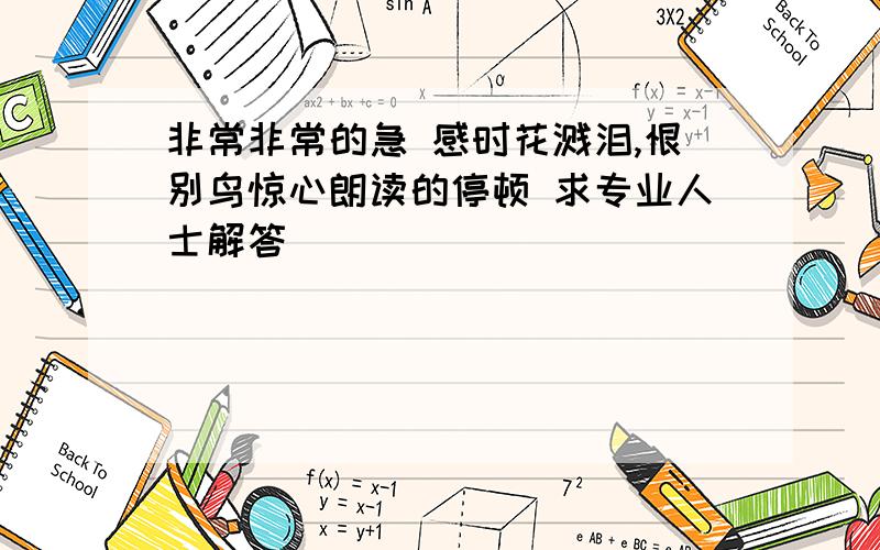 非常非常的急 感时花溅泪,恨别鸟惊心朗读的停顿 求专业人士解答