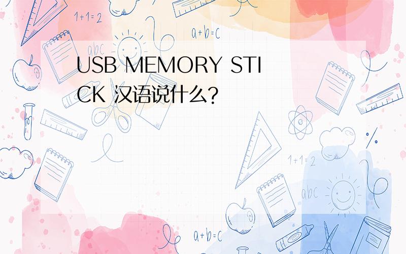 USB MEMORY STICK 汉语说什么?