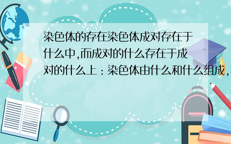 染色体的存在染色体成对存在于什么中,而成对的什么存在于成对的什么上：染色体由什么和什么组成,其中什么是主要的遗传物质