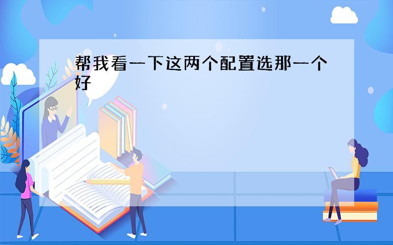 帮我看一下这两个配置选那一个好