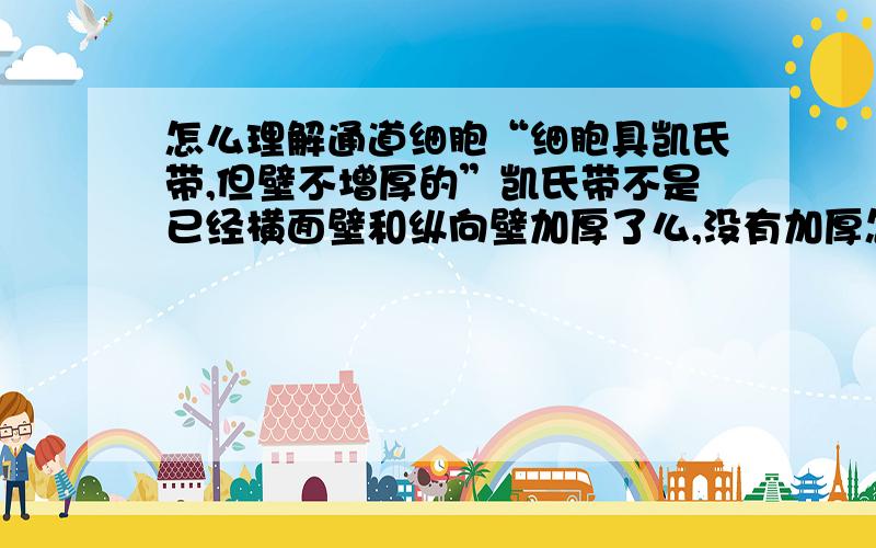 怎么理解通道细胞“细胞具凯氏带,但壁不增厚的”凯氏带不是已经横面壁和纵向壁加厚了么,没有加厚怎么叫凯氏带,