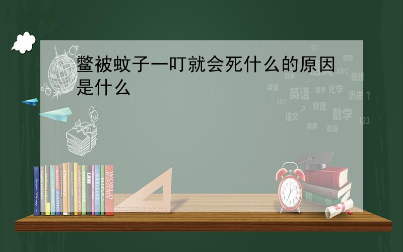 鳖被蚊子一叮就会死什么的原因是什么