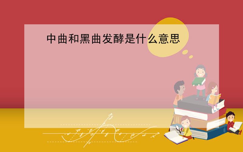 中曲和黑曲发酵是什么意思