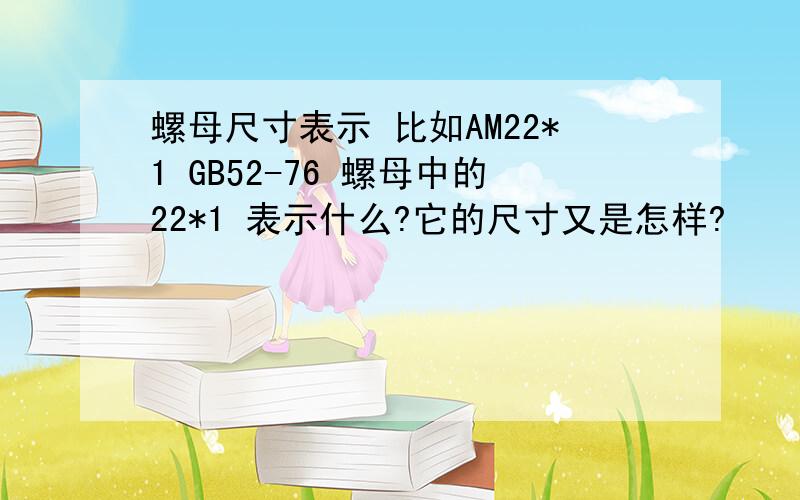 螺母尺寸表示 比如AM22*1 GB52-76 螺母中的22*1 表示什么?它的尺寸又是怎样?