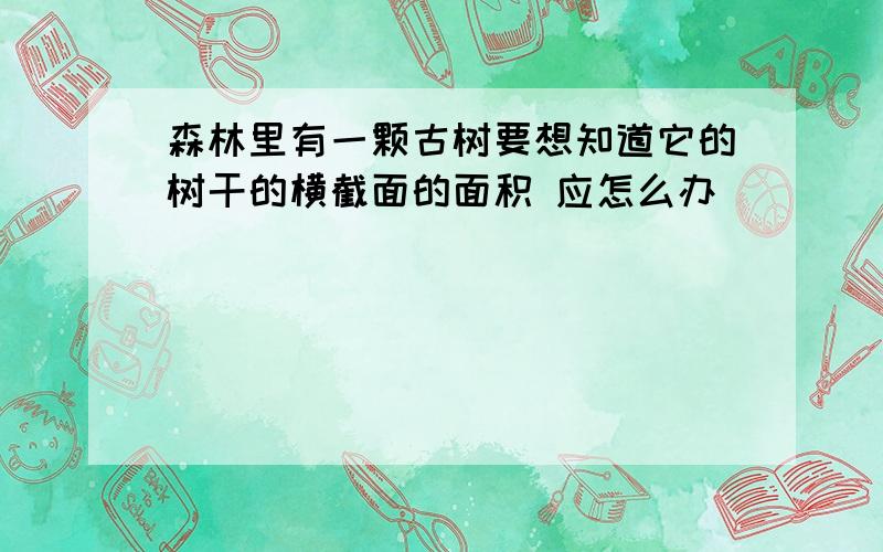 森林里有一颗古树要想知道它的树干的横截面的面积 应怎么办