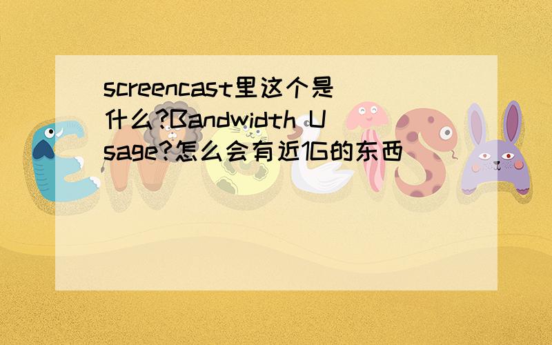 screencast里这个是什么?Bandwidth Usage?怎么会有近1G的东西