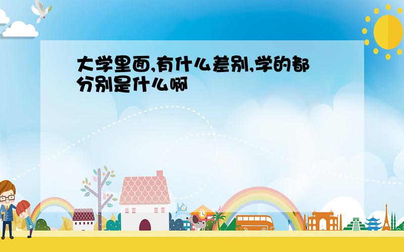 大学里面,有什么差别,学的都分别是什么啊