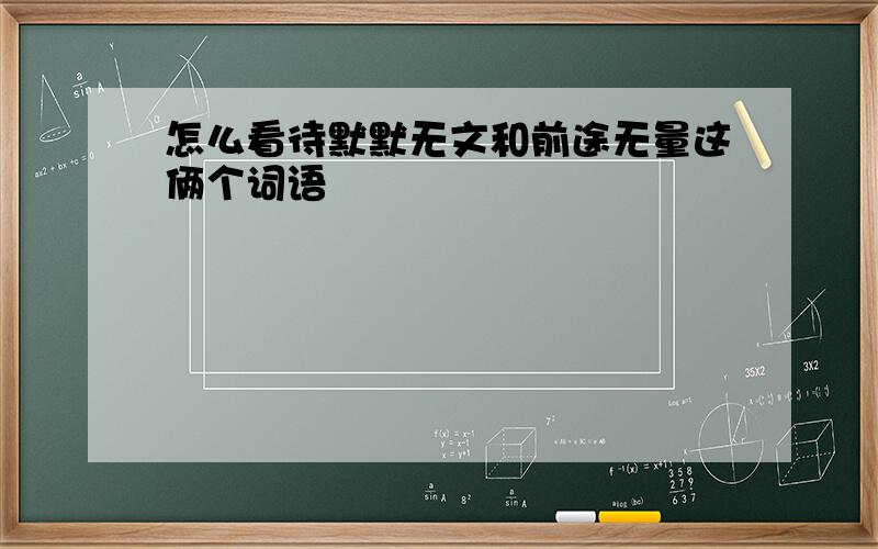 怎么看待默默无文和前途无量这俩个词语