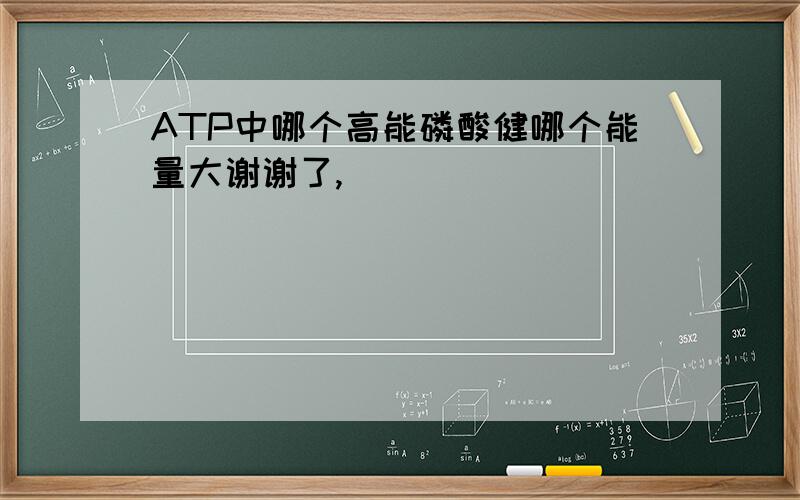 ATP中哪个高能磷酸健哪个能量大谢谢了,