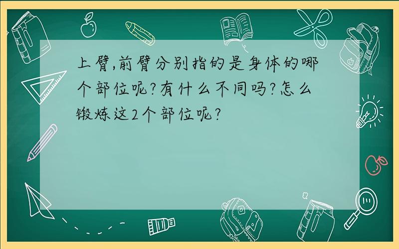 上臂,前臂分别指的是身体的哪个部位呢?有什么不同吗?怎么锻炼这2个部位呢?