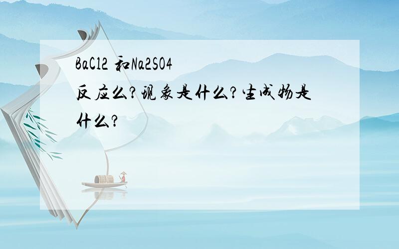 BaCl2 和Na2SO4 反应么?现象是什么?生成物是什么?