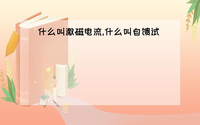 什么叫激磁电流,什么叫自馈试