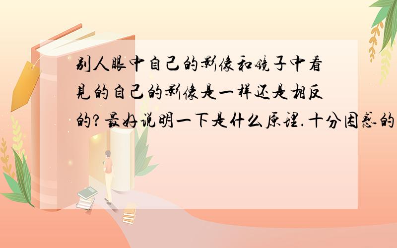 别人眼中自己的影像和镜子中看见的自己的影像是一样还是相反的?最好说明一下是什么原理.十分困惑的问题.